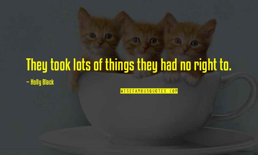 Adamyk Quotes By Holly Black: They took lots of things they had no