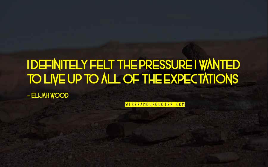 Adapt Or Perish Quotes By Elijah Wood: I definitely felt the pressure I wanted to