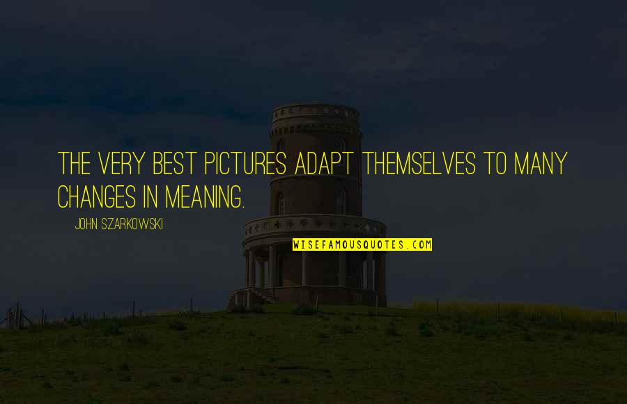 Adapt Quotes By John Szarkowski: The very best pictures adapt themselves to many