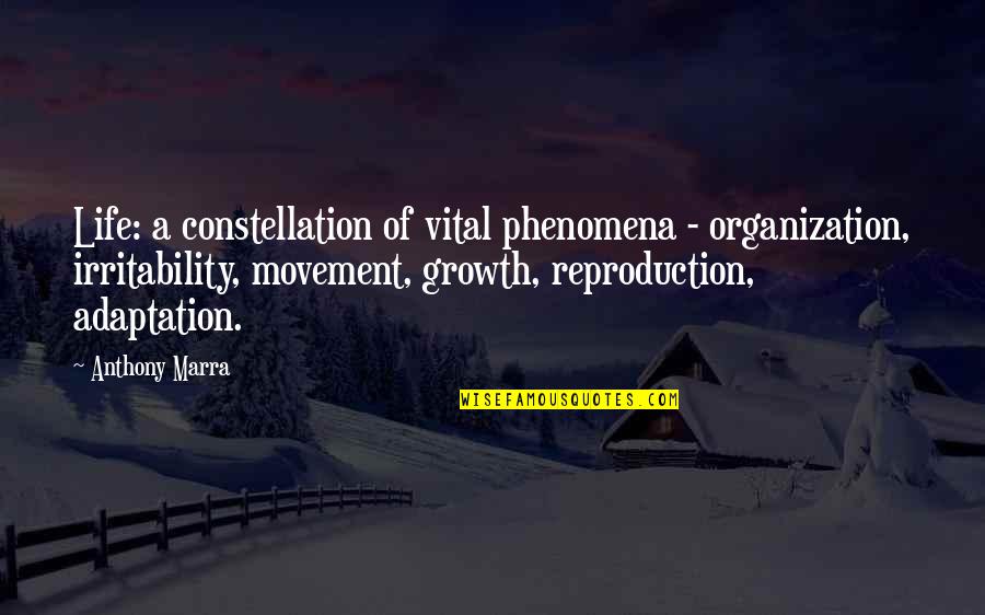 Adaptation Quotes By Anthony Marra: Life: a constellation of vital phenomena - organization,