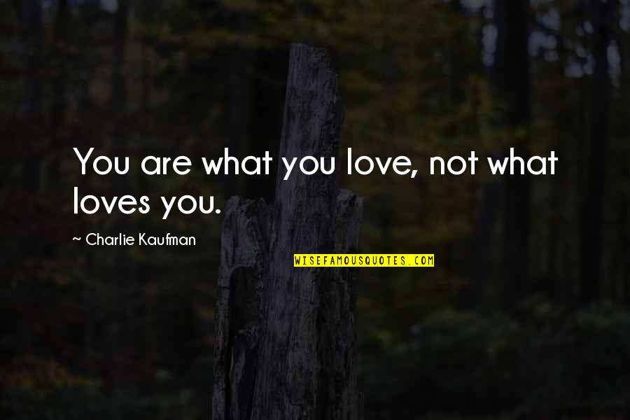 Adaptation Quotes By Charlie Kaufman: You are what you love, not what loves