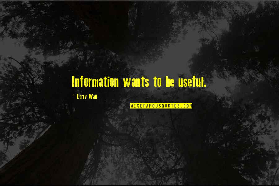 Adapted Physical Education Quotes By Larry Wall: Information wants to be useful.