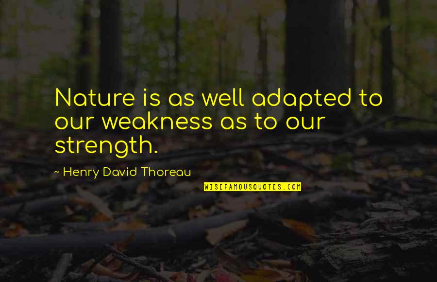Adapted Quotes By Henry David Thoreau: Nature is as well adapted to our weakness Adapted Quotes By Henry David Thoreau: Nature is as well adapted to our weakness