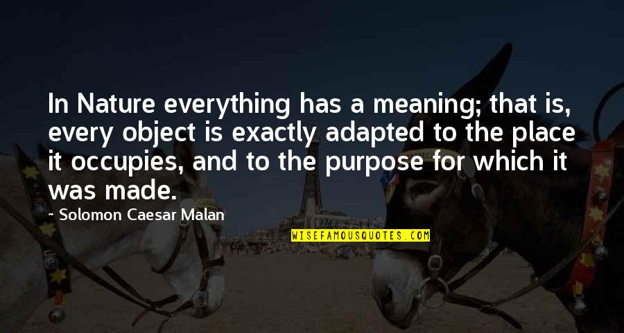 Adapted Quotes By Solomon Caesar Malan: In Nature everything has a meaning; that is,