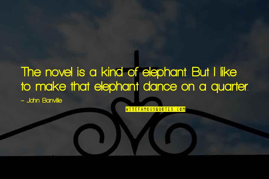 Adapter Quotes By John Banville: The novel is a kind of elephant. But