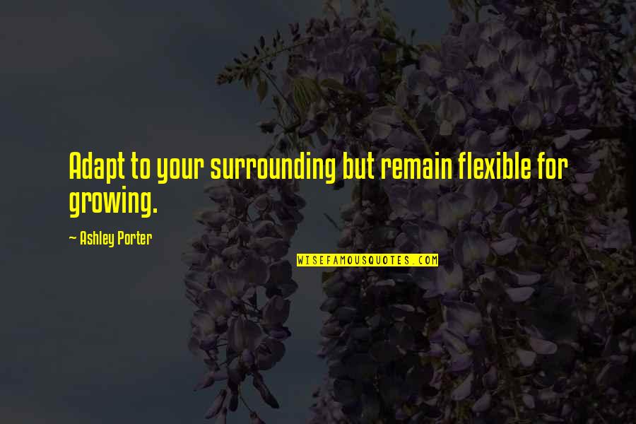 Adapting To Change Quotes By Ashley Porter: Adapt to your surrounding but remain flexible for