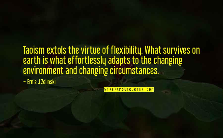 Adapts Quotes By Ernie J Zelinski: Taoism extols the virtue of flexibility. What survives Adapts Quotes By Ernie J Zelinski: Taoism extols the virtue of flexibility. What survives
