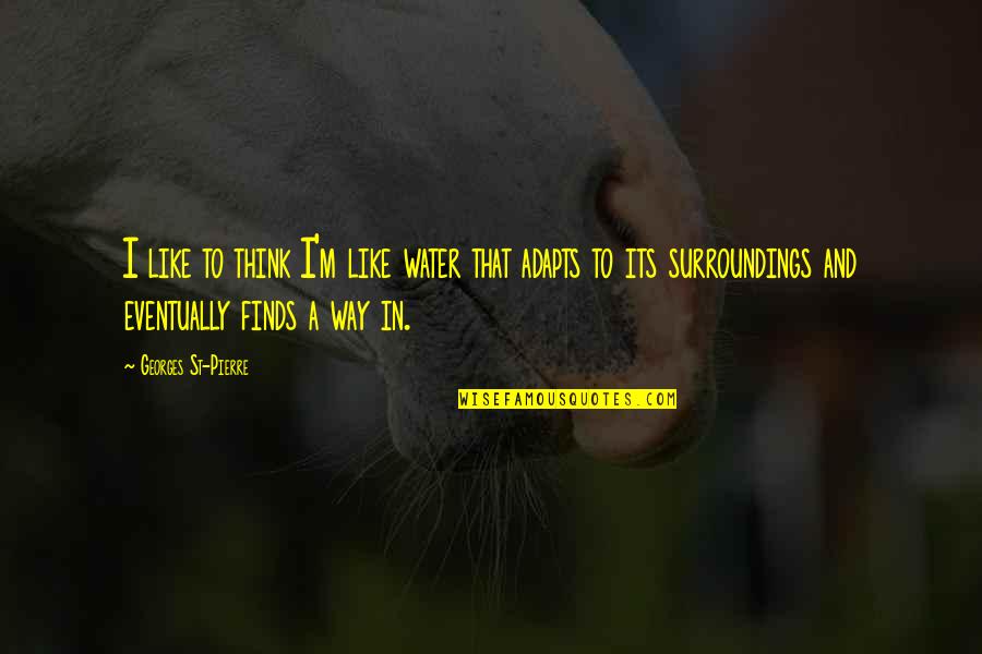 Adapts Quotes By Georges St-Pierre: I like to think I'm like water that Adapts Quotes By Georges St-Pierre: I like to think I'm like water that
