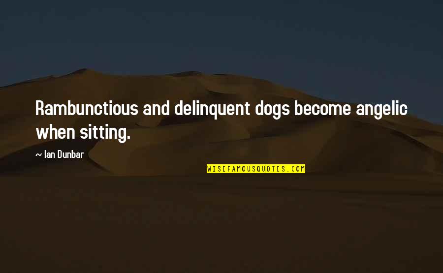 Adaras Lluvia Quotes By Ian Dunbar: Rambunctious and delinquent dogs become angelic when sitting.