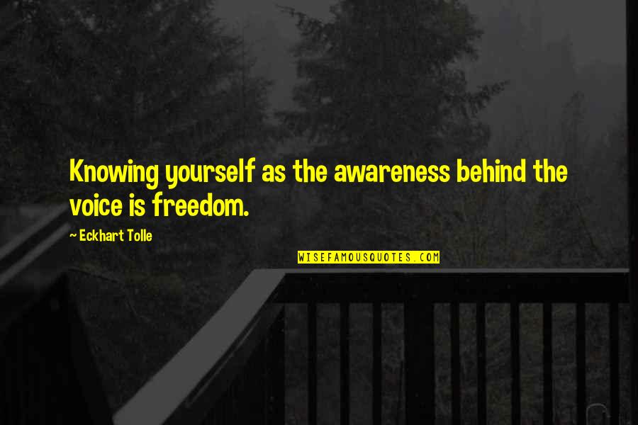 Adarsh Patni Quotes By Eckhart Tolle: Knowing yourself as the awareness behind the voice