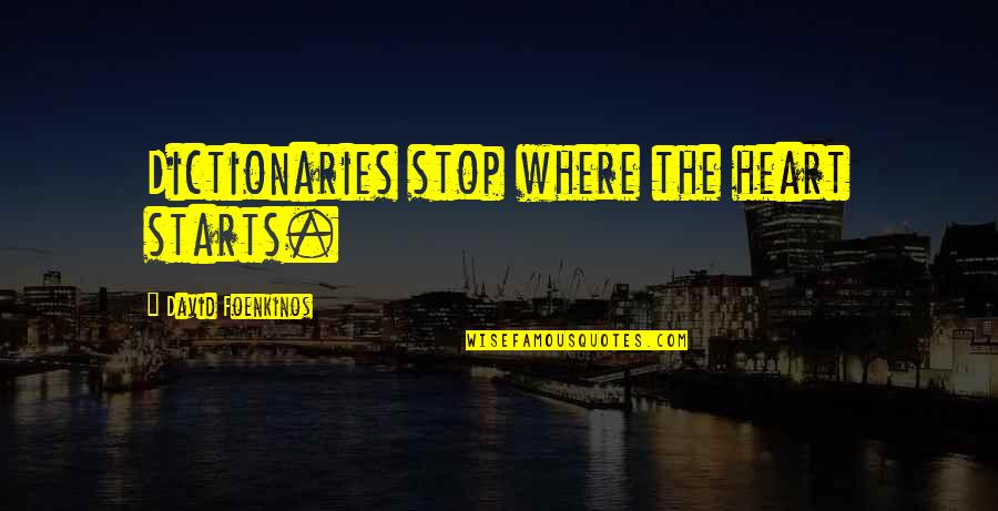 Adarsha Quotes By David Foenkinos: Dictionaries stop where the heart starts.