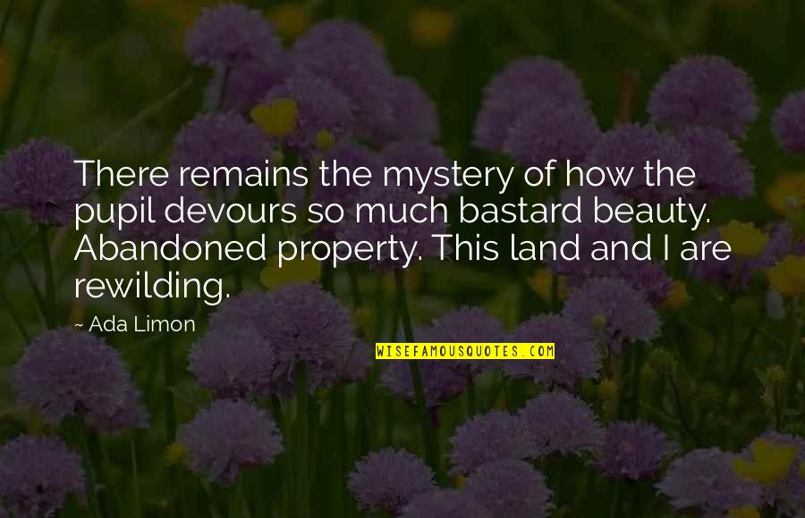 Ada's Quotes By Ada Limon: There remains the mystery of how the pupil Ada's Quotes By Ada Limon: There remains the mystery of how the pupil