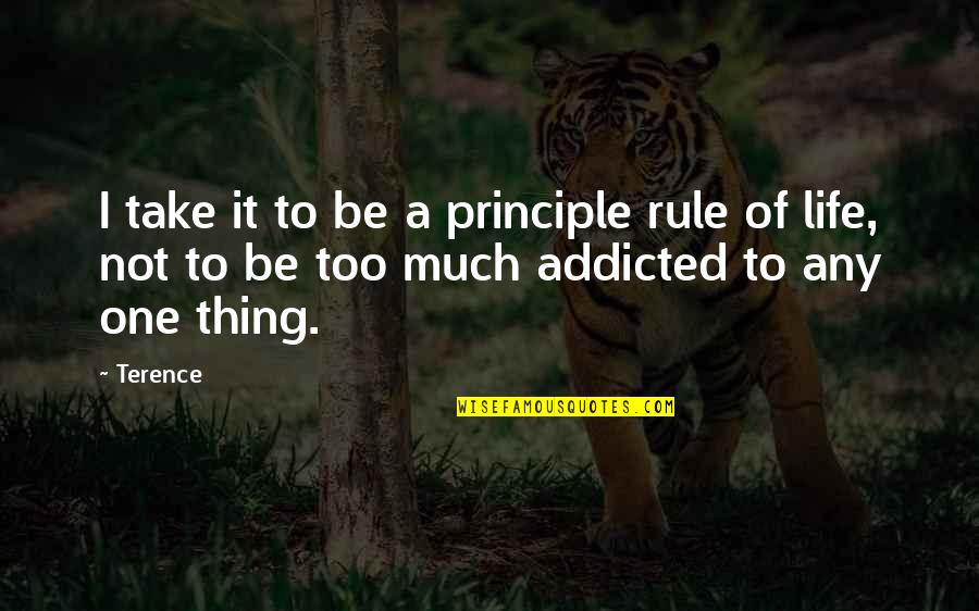 Addicted On You Quotes By Terence: I take it to be a principle rule