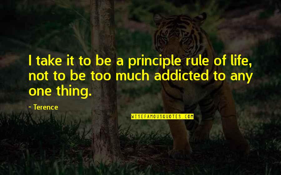 Addicted To Life Quotes By Terence: I take it to be a principle rule