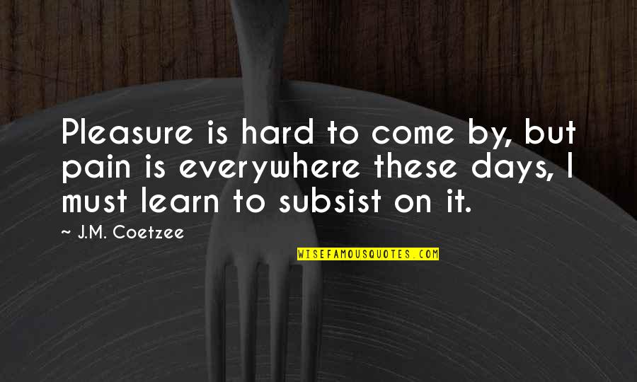 Addiction Funny Quotes By J.M. Coetzee: Pleasure is hard to come by, but pain