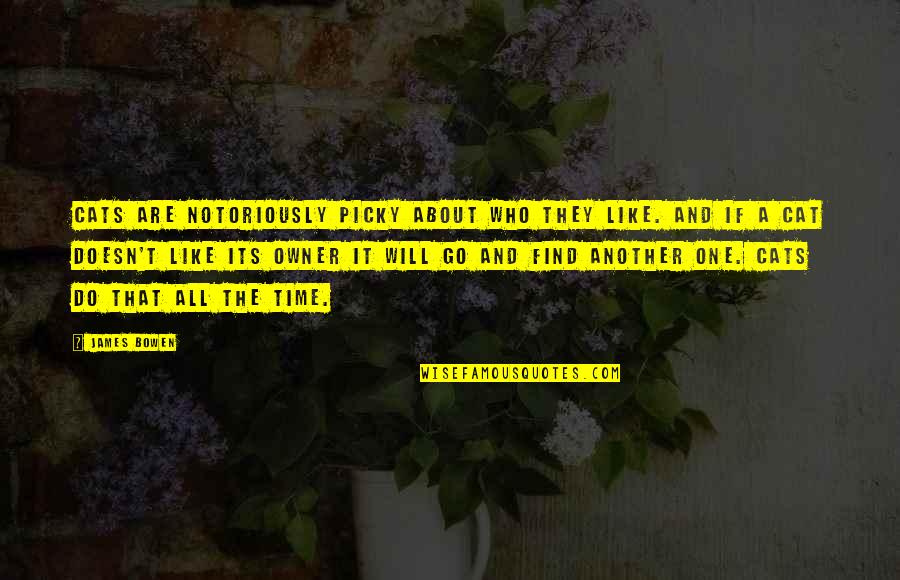 Addicts Dying Quotes By James Bowen: Cats are notoriously picky about who they like.