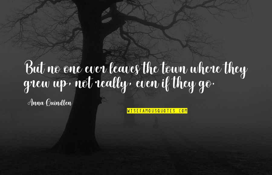Additional Medicare Quotes By Anna Quindlen: But no one ever leaves the town where