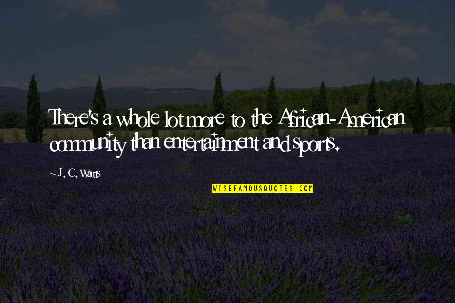 Addressing Haters Quotes By J. C. Watts: There's a whole lot more to the African-American