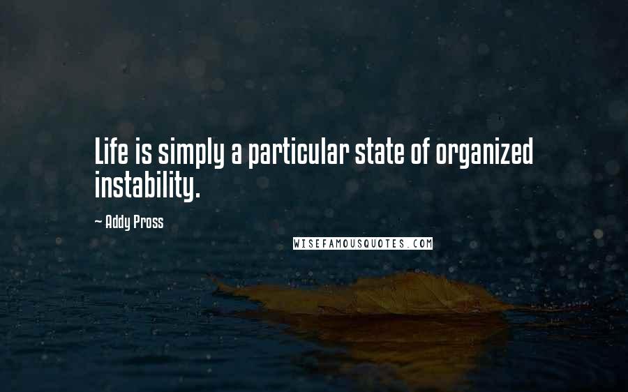 Addy Pross quotes: Life is simply a particular state of organized instability.