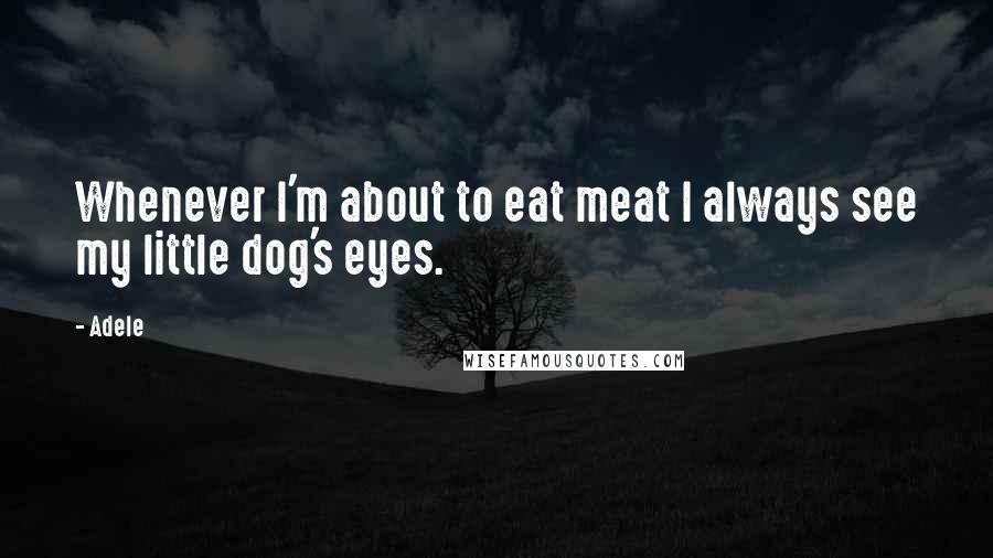 Adele quotes: Whenever I'm about to eat meat I always see my little dog's eyes.