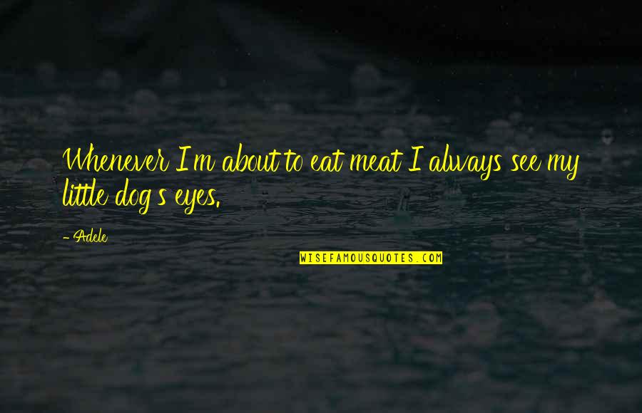 Adele's Quotes By Adele: Whenever I'm about to eat meat I always