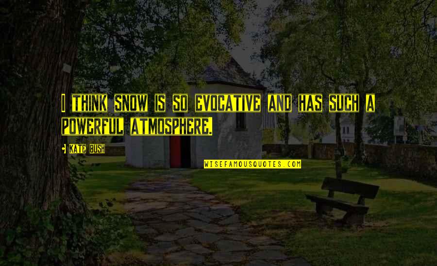 Adeleye 247 Quotes By Kate Bush: I think snow is so evocative and has