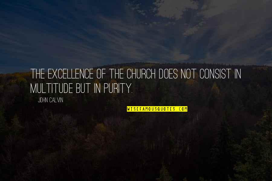 Adelle Davis Quotes By John Calvin: The excellence of the Church does not consist