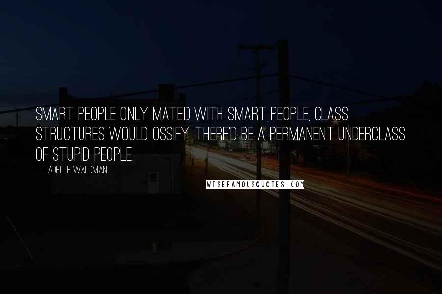 Adelle Waldman quotes: Smart people only mated with smart people, class structures would ossify. There'd be a permanent underclass of stupid people.