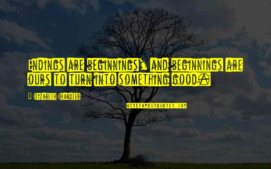 Adelmar Mirror Quotes By Elizabeth Chandler: Endings are beginnings, and beginnings are ours to