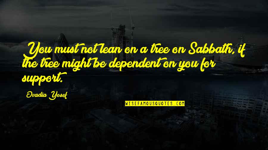 Ademas Lleva Quotes By Ovadia Yosef: You must not lean on a tree on