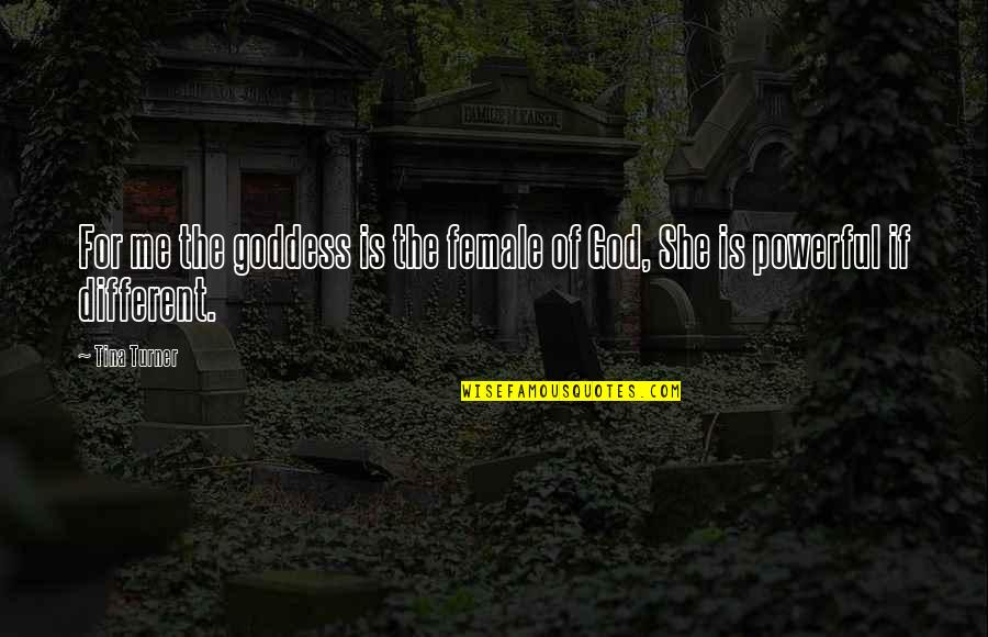 Aderbal Correa Quotes By Tina Turner: For me the goddess is the female of
