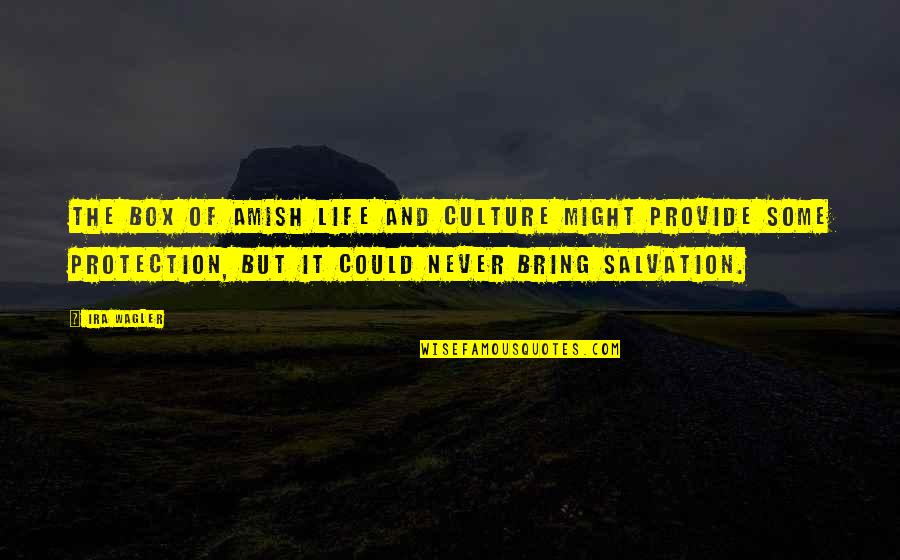 Aderito Quotes By Ira Wagler: The box of Amish life and culture might Aderito Quotes By Ira Wagler: The box of Amish life and culture might