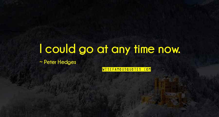 Aderyn Productions Quotes By Peter Hedges: I could go at any time now. Aderyn Productions Quotes By Peter Hedges: I could go at any time now.