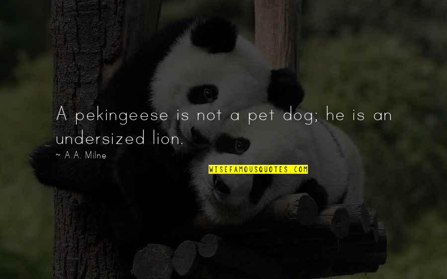 Adesso Pizza Quotes By A.A. Milne: A pekingeese is not a pet dog; he