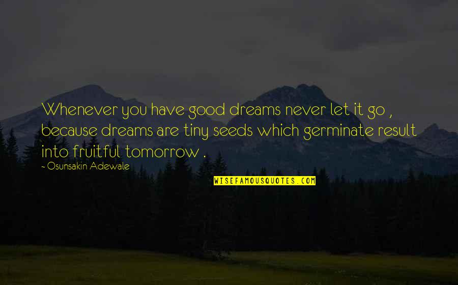 Adewale Quotes By Osunsakin Adewale: Whenever you have good dreams never let it