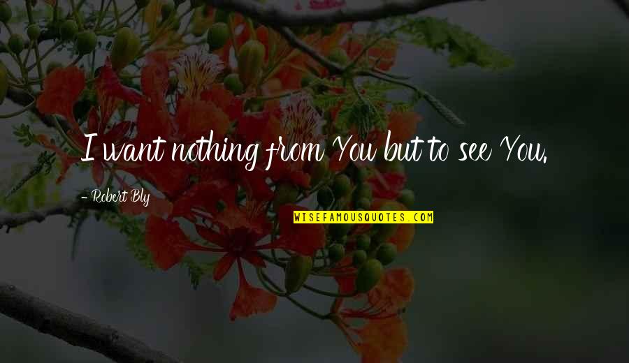 Adhanom Gebremariam Quotes By Robert Bly: I want nothing from You but to see Adhanom Gebremariam Quotes By Robert Bly: I want nothing from You but to see