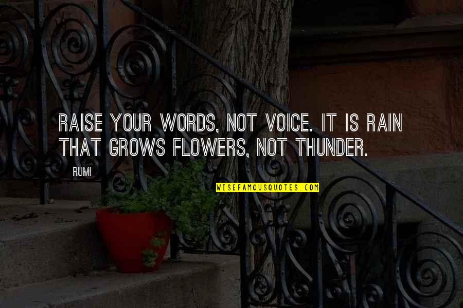 Adherents Suffix Quotes By Rumi: Raise your words, not voice. It is rain