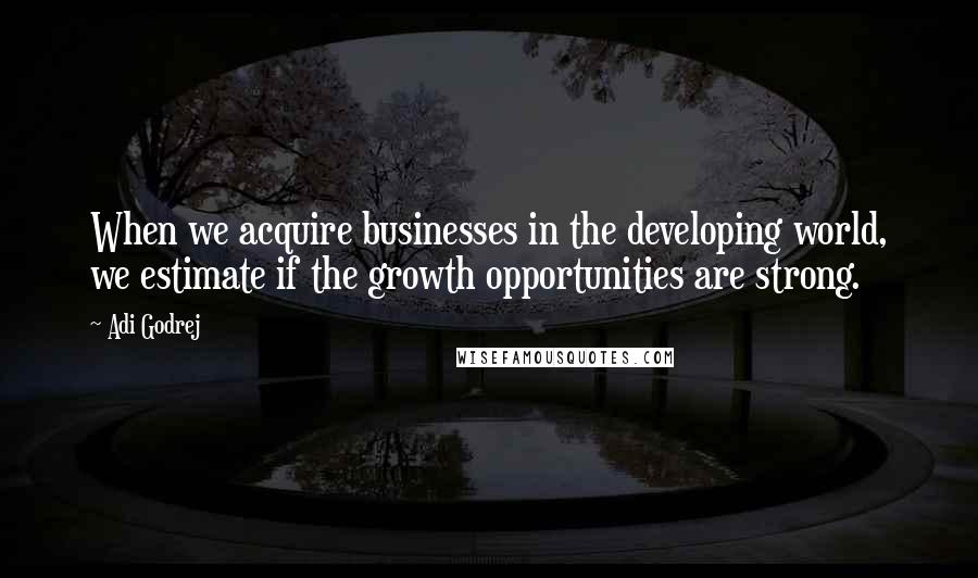 Adi Godrej quotes: When we acquire businesses in the developing world, we estimate if the growth opportunities are strong.