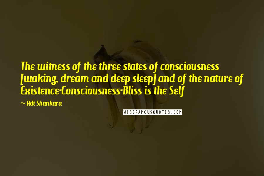 Adi Shankara quotes: The witness of the three states of consciousness [waking, dream and deep sleep] and of the nature of Existence-Consciousness-Bliss is the Self