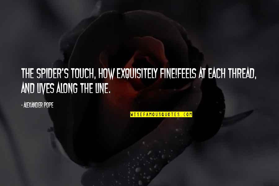 Adicciones En Quotes By Alexander Pope: The spider's touch, how exquisitely fine!Feels at each
