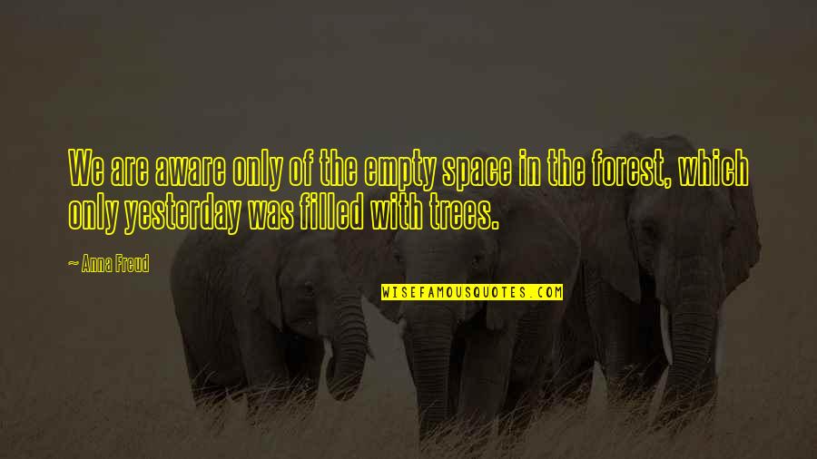 Adidaya Alam Quotes By Anna Freud: We are aware only of the empty space Adidaya Alam Quotes By Anna Freud: We are aware only of the empty space