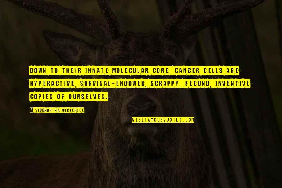Adilia Lopes Quotes By Siddhartha Mukherjee: Down to their innate molecular core, cancer cells Adilia Lopes Quotes By Siddhartha Mukherjee: Down to their innate molecular core, cancer cells