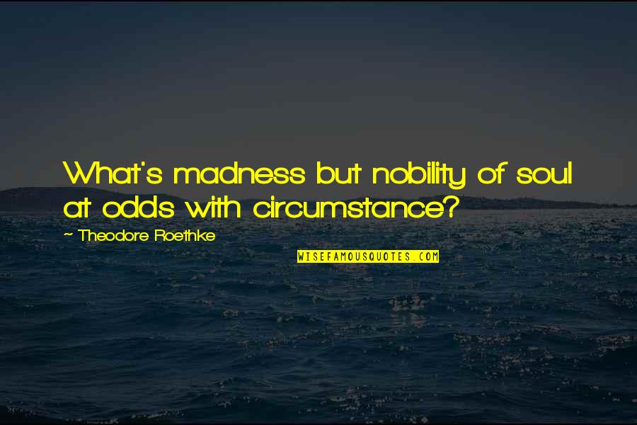 Adiposity Treatment Quotes By Theodore Roethke: What's madness but nobility of soul at odds
