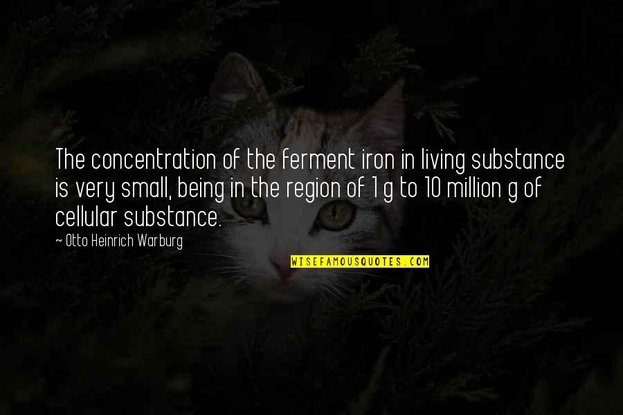 Adirondack Park Quotes By Otto Heinrich Warburg: The concentration of the ferment iron in living