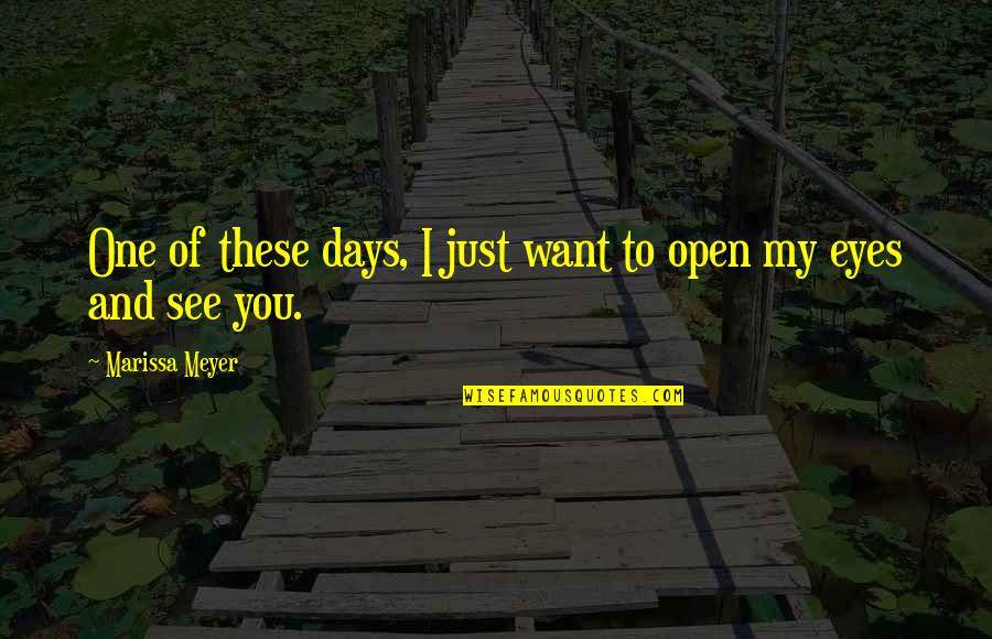 Adivasis Of India Quotes By Marissa Meyer: One of these days, I just want to Adivasis Of India Quotes By Marissa Meyer: One of these days, I just want to