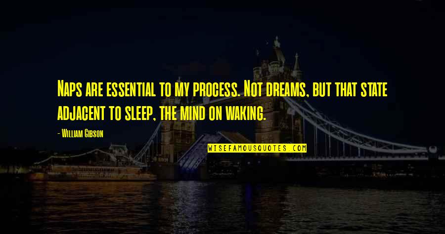 Adjacent Quotes By William Gibson: Naps are essential to my process. Not dreams,