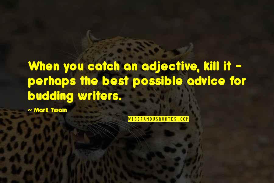 Adjective For Quotes By Mark Twain: When you catch an adjective, kill it -