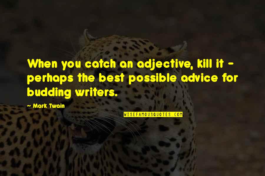 Adjectives Quotes By Mark Twain: When you catch an adjective, kill it -