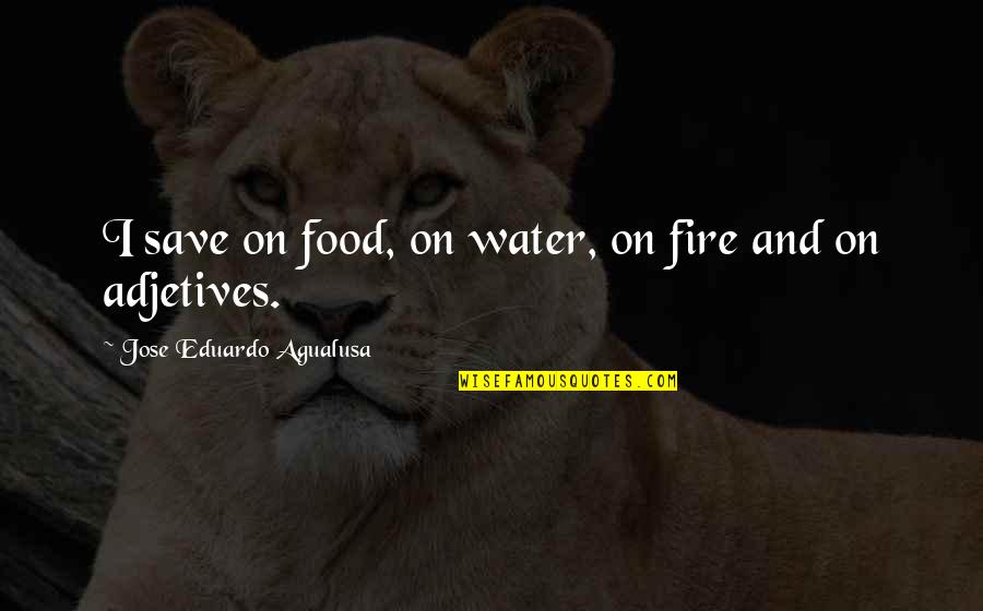 Adjetives Quotes By Jose Eduardo Agualusa: I save on food, on water, on fire