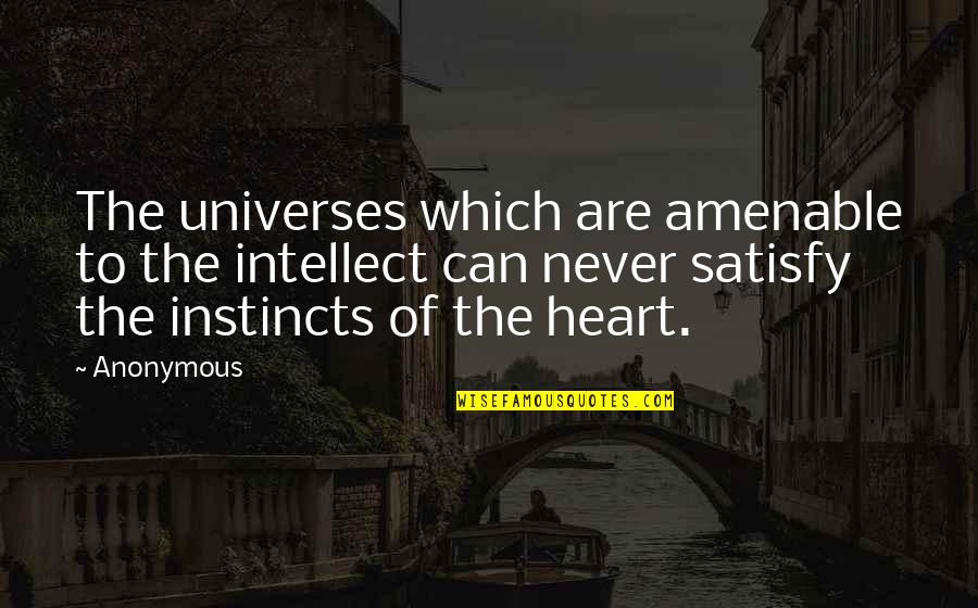 Adjunct World Quotes By Anonymous: The universes which are amenable to the intellect Adjunct World Quotes By Anonymous: The universes which are amenable to the intellect
